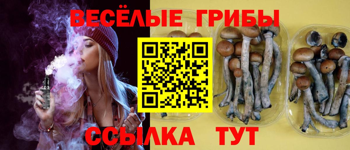 Галлюциногенные грибы Magic Shrooms Железноводск