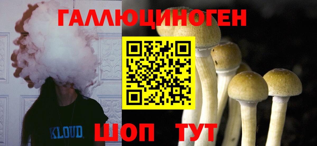 Железноводск  Галлюциногенные грибы Cubensis  где можно купить   Вход с VPN  Галлюциногенные грибы MAGIC MUSHROOMS 